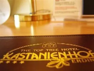 酒店 卡斯塔尼恩酒店 埃尔丁